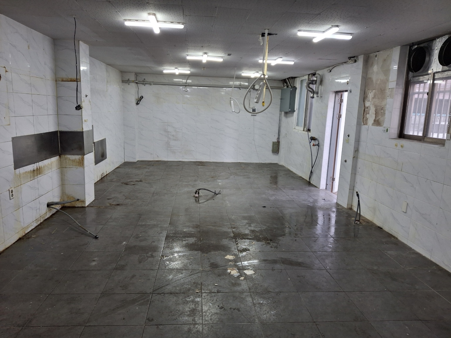 latest image